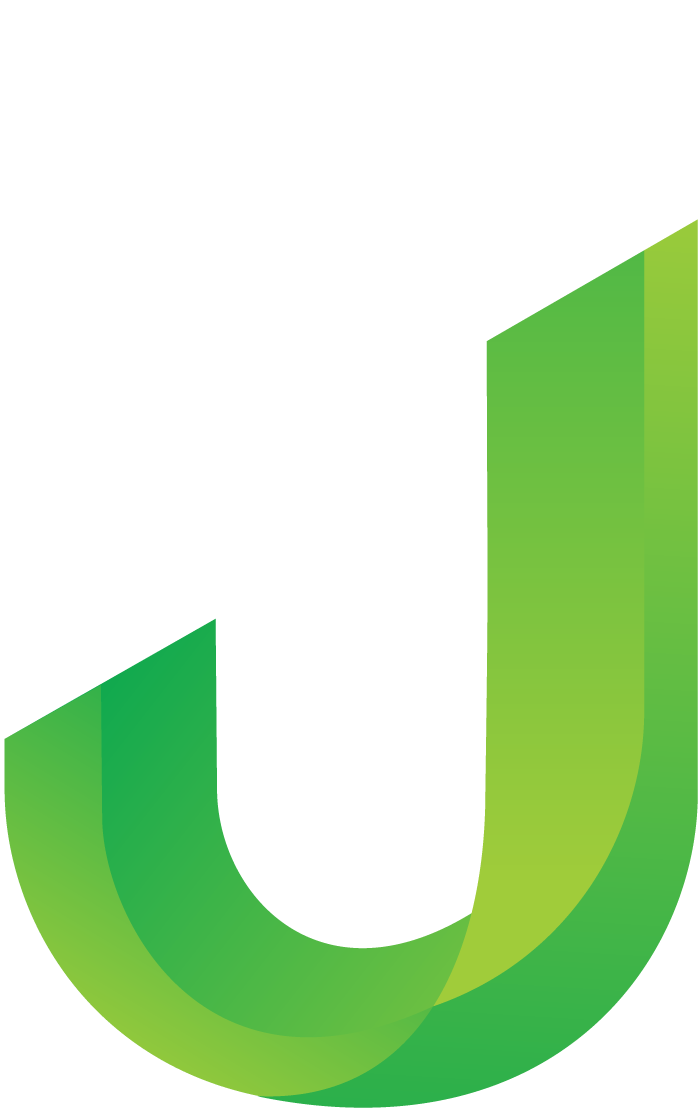 Job System